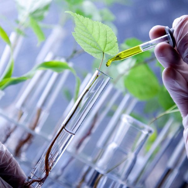 زیستفناوری کشاورزی – آموزش و کاربردها