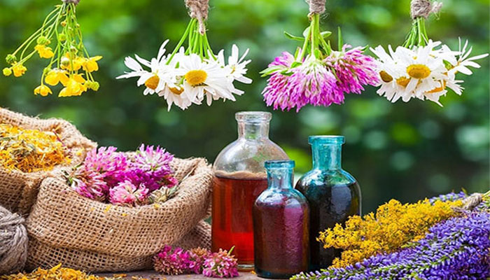 نکات مهم درباره گیاهان دارویی – راهنمای کاربردی و علمی